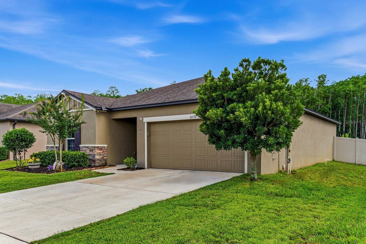 18738 Alfaro Loop , Spring Hill, FL 34610 Photo