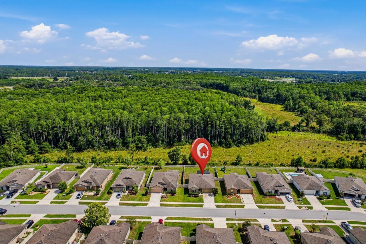 18738 Alfaro Loop , Spring Hill, FL 34610 Photo