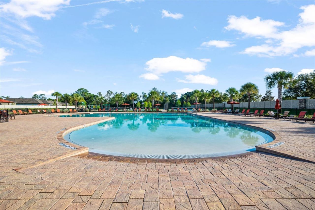 18738 Alfaro Loop , Spring Hill, FL 34610 Photo