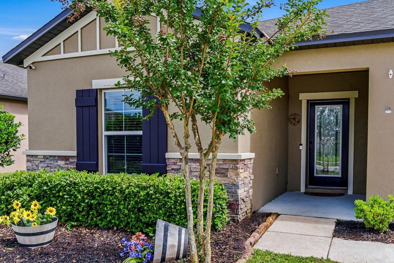 18738 Alfaro Loop , Spring Hill, FL 34610 Photo