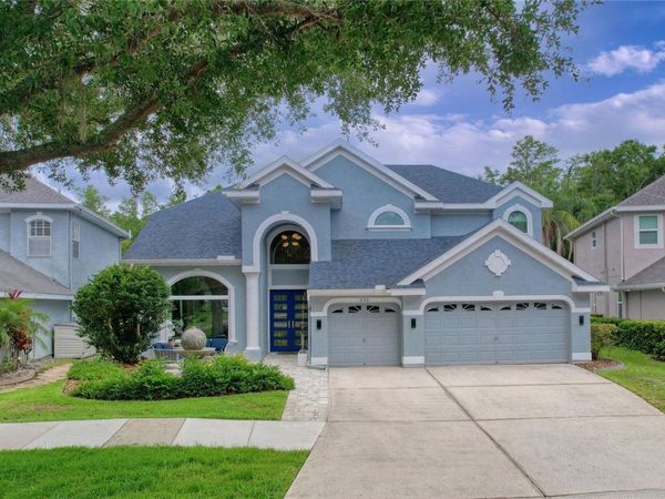 11721 GOTHIC LANE, TAMPA, FL 33626