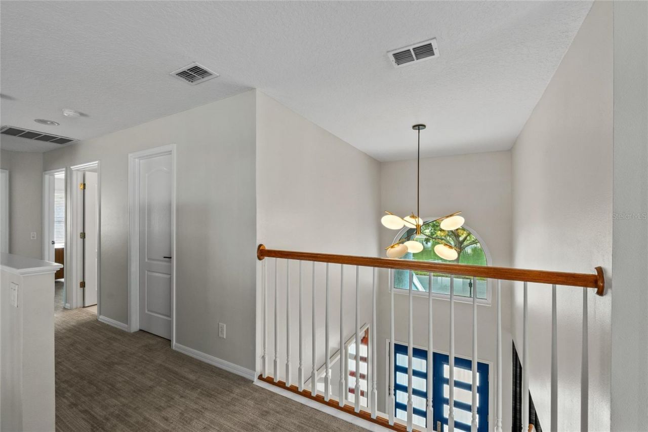 11721 Gothic Lane, Tampa, FL 33626 Photo