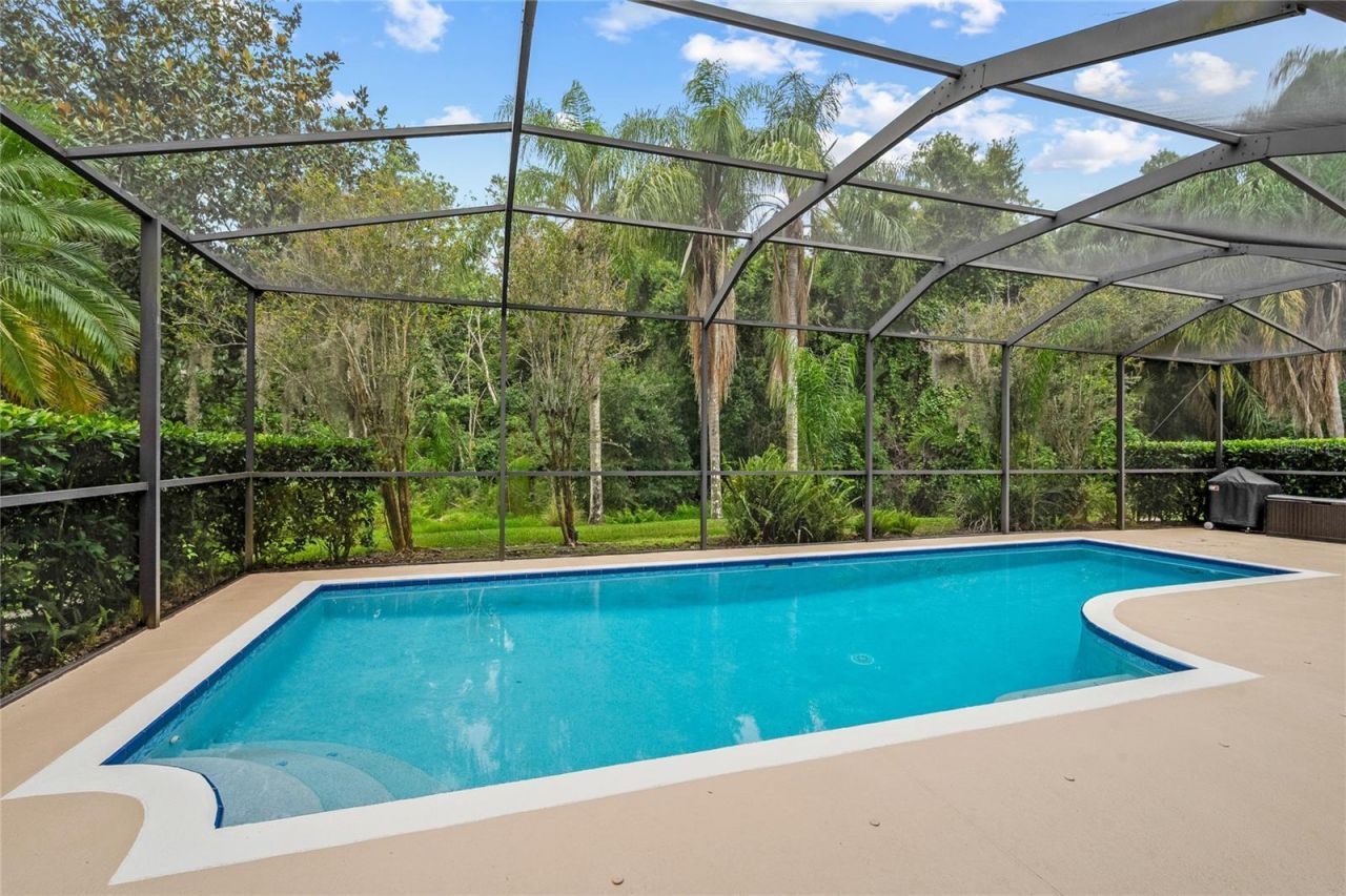 11721 Gothic Lane, Tampa, FL 33626 Photo