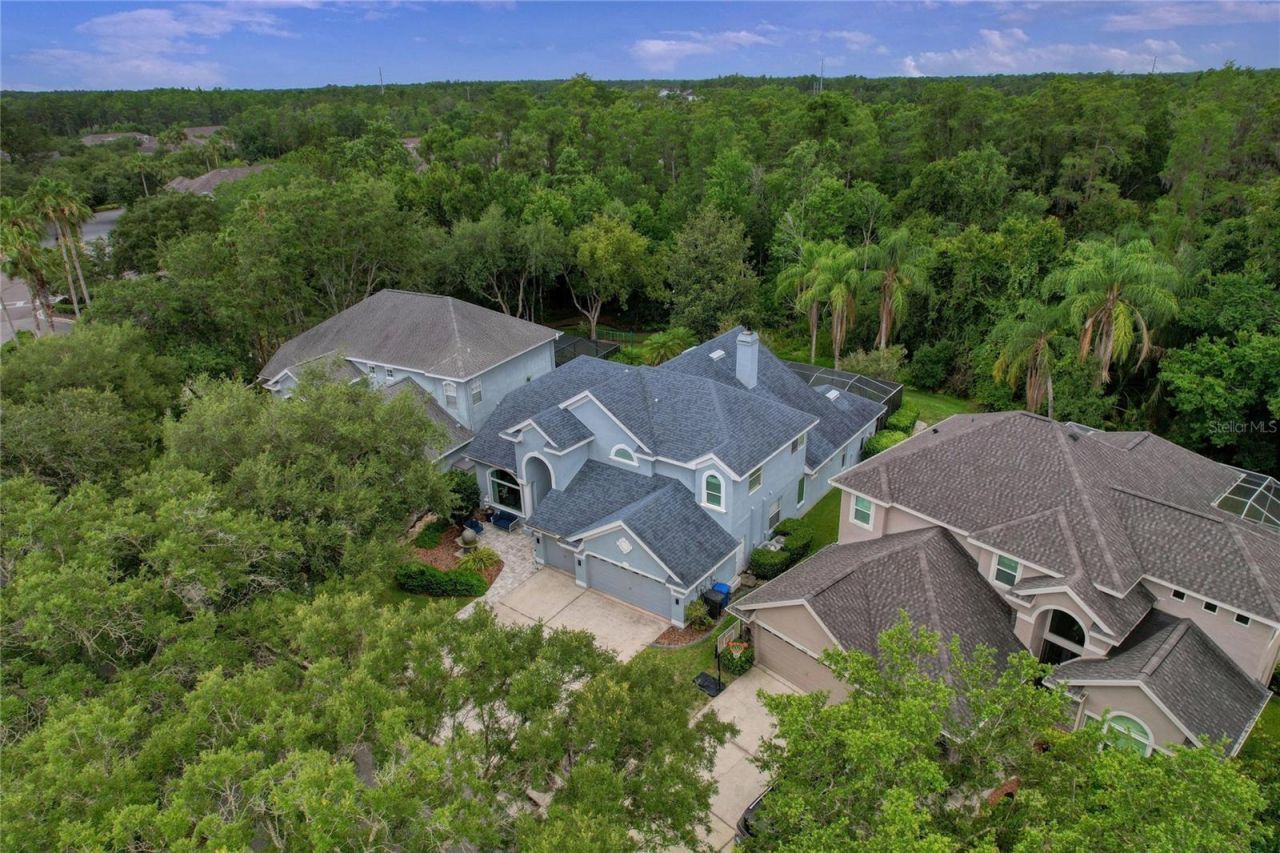 11721 Gothic Lane, Tampa, FL 33626 Photo