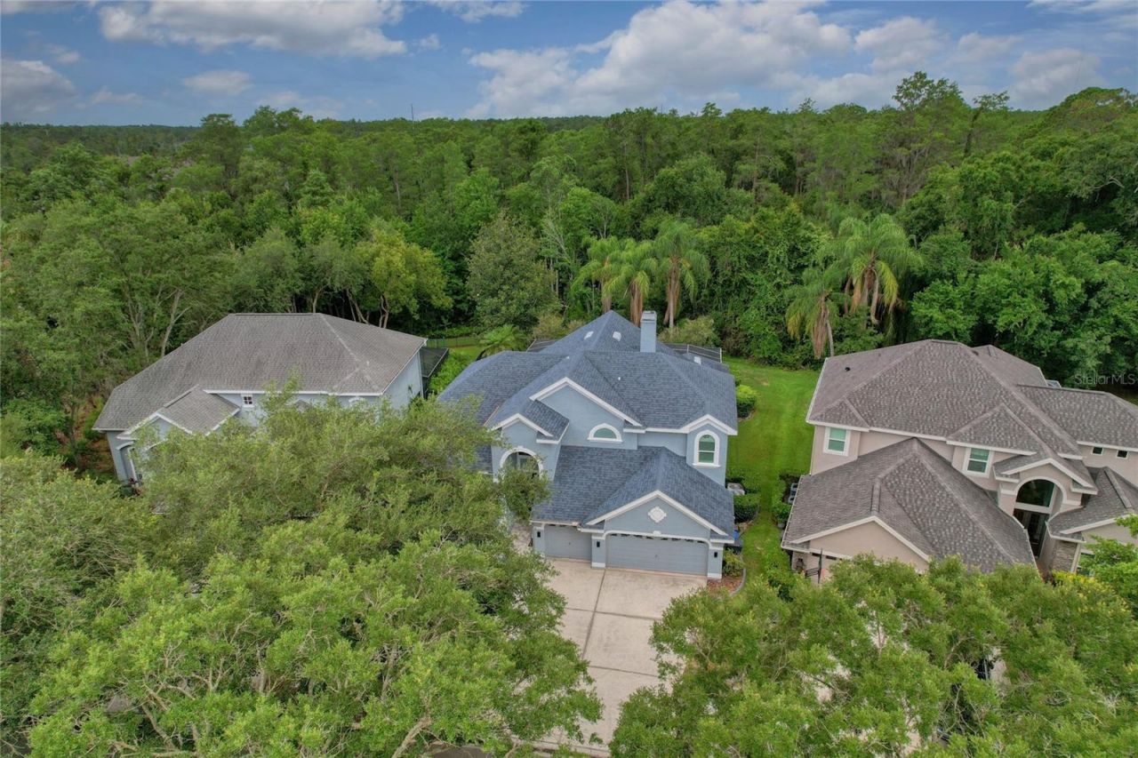 11721 Gothic Lane, Tampa, FL 33626 Photo
