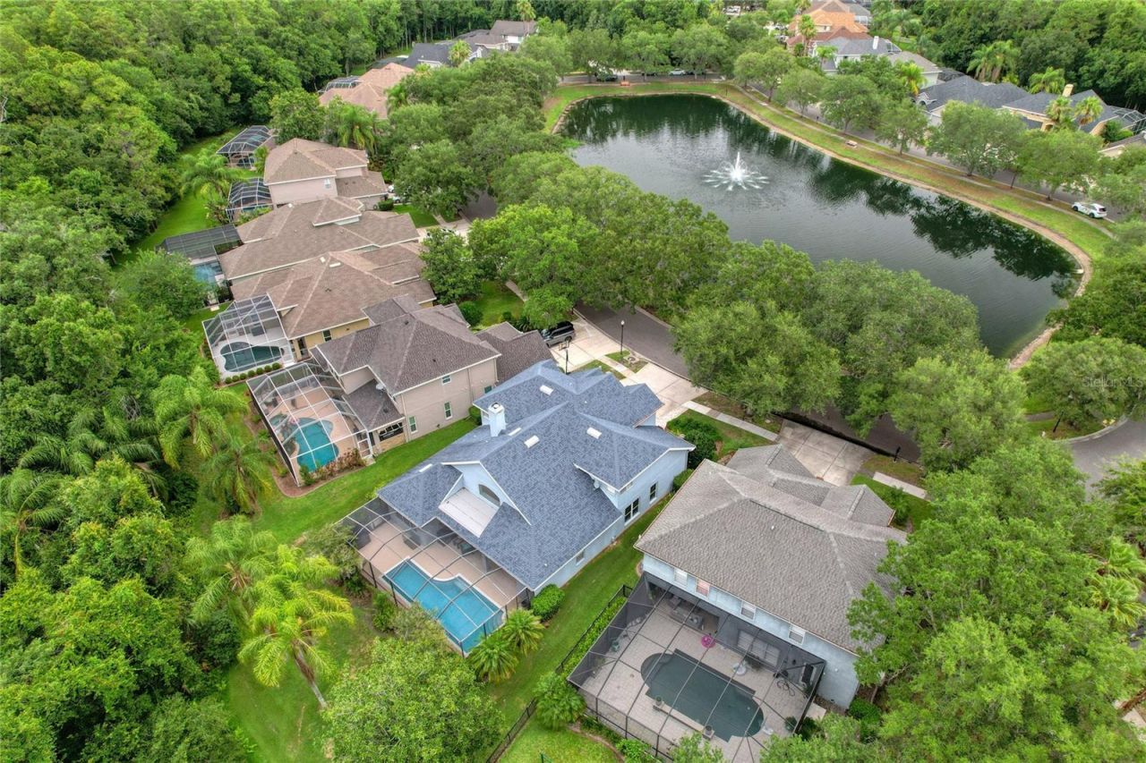 11721 Gothic Lane, Tampa, FL 33626 Photo