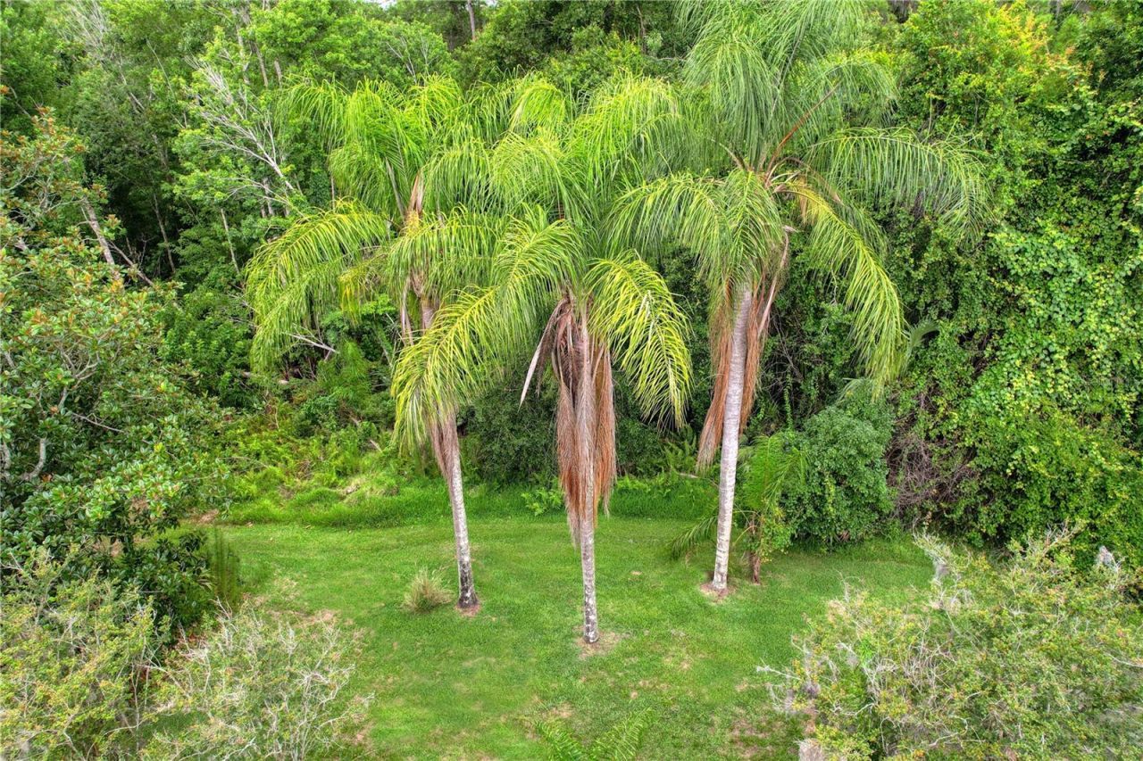 11721 Gothic Lane, Tampa, FL 33626 Photo