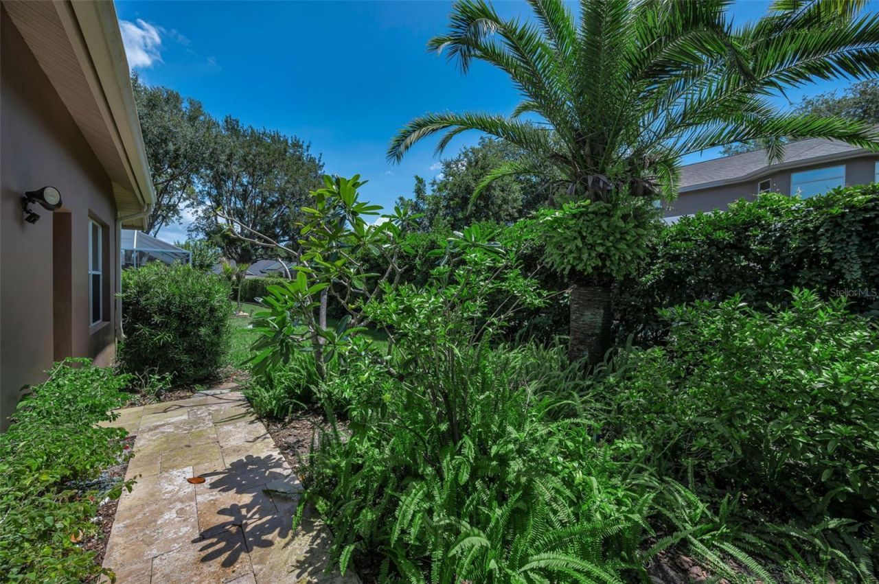 5287 Kernwood Court, Palm Harbor, FL 34685 Photo