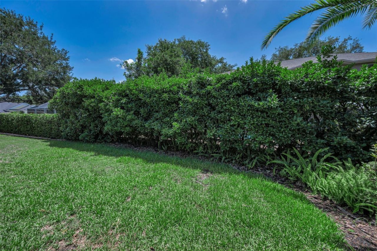 5287 Kernwood Court, Palm Harbor, FL 34685 Photo