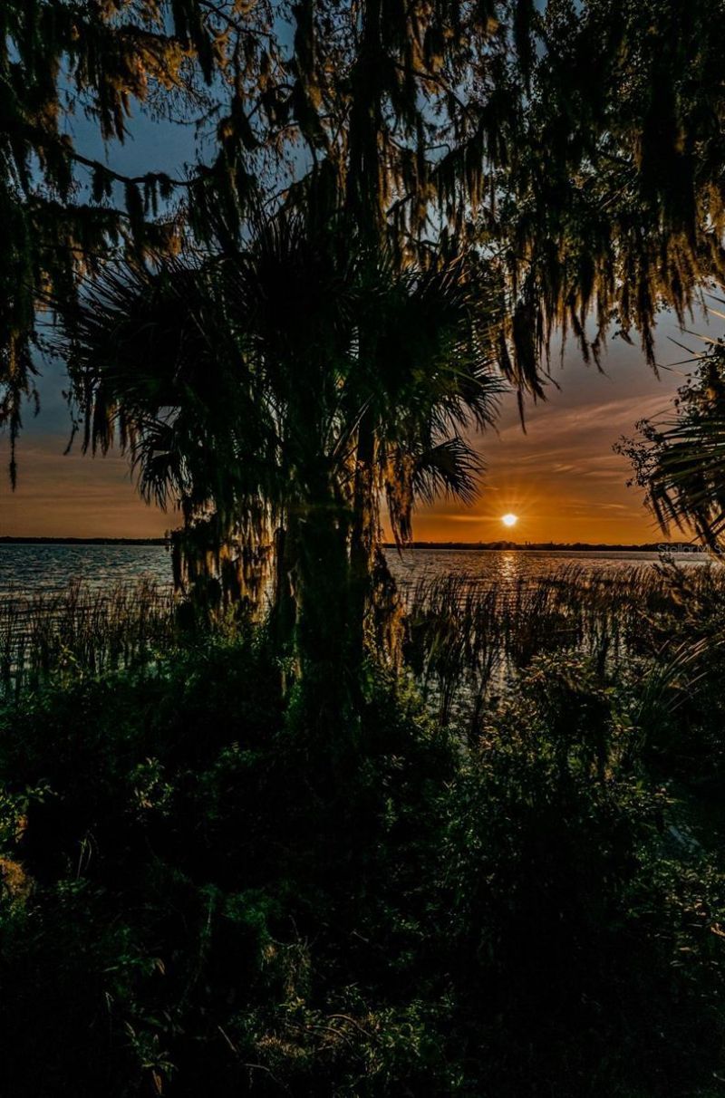 5287 Kernwood Court, Palm Harbor, FL 34685 Photo