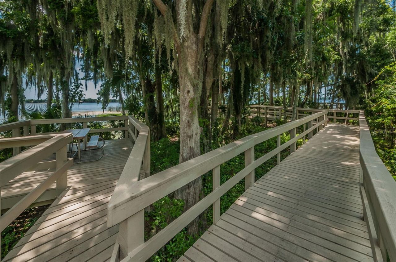 5287 Kernwood Court, Palm Harbor, FL 34685 Photo