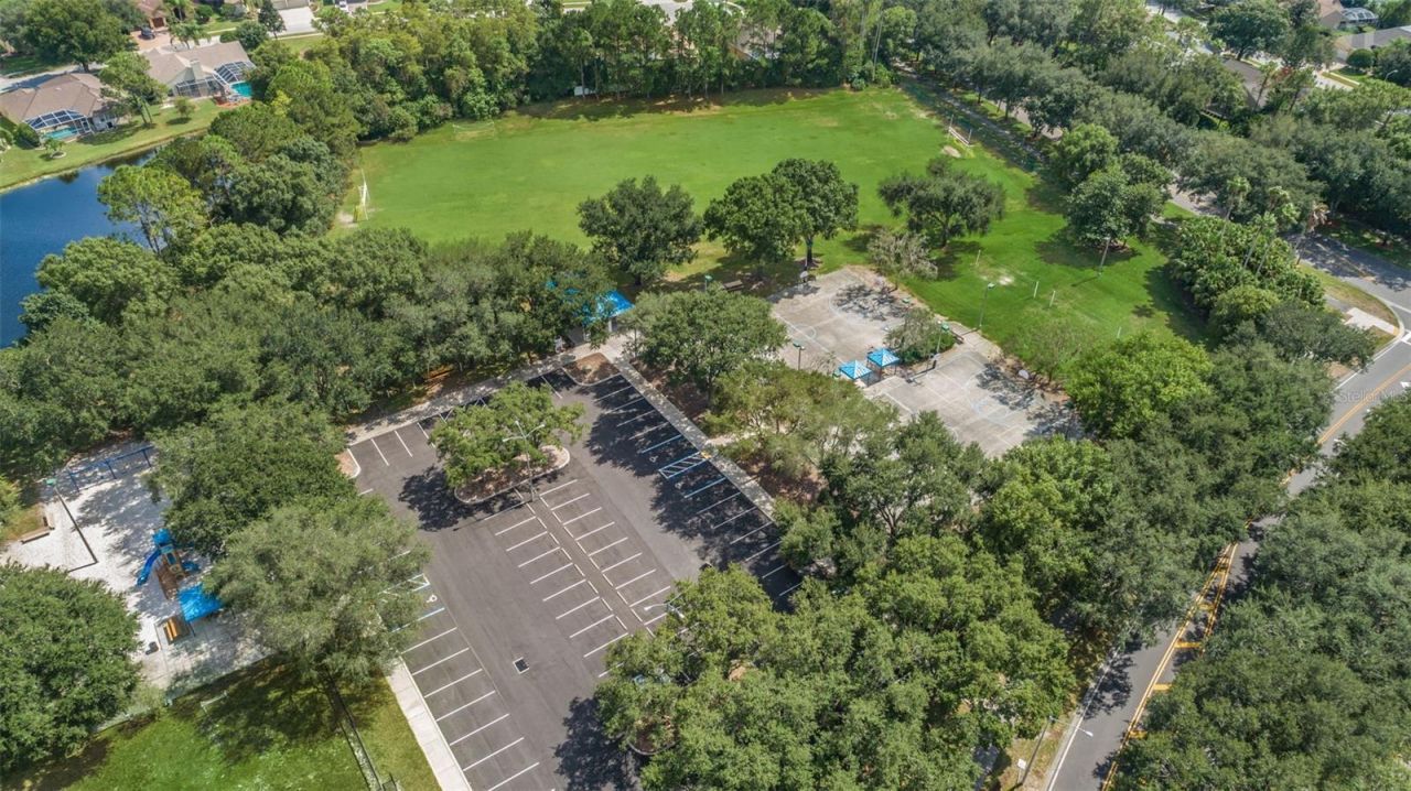 5287 Kernwood Court, Palm Harbor, FL 34685 Photo