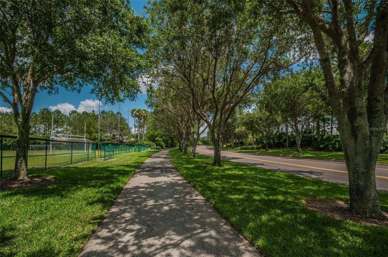 5287 Kernwood Court, Palm Harbor, FL 34685 Photo