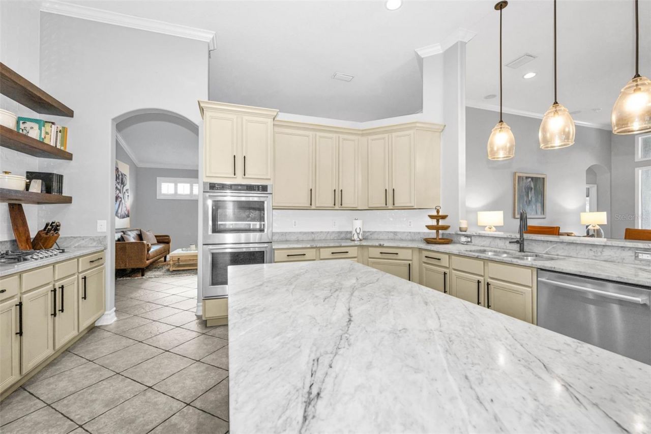 16207 Rambling Road, Odessa, FL 33556 Photo