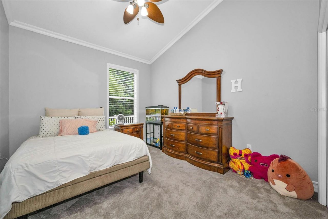 16207 Rambling Road, Odessa, FL 33556 Photo
