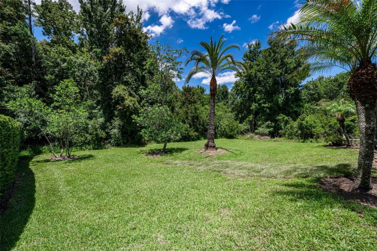 16207 Rambling Road, Odessa, FL 33556 Photo