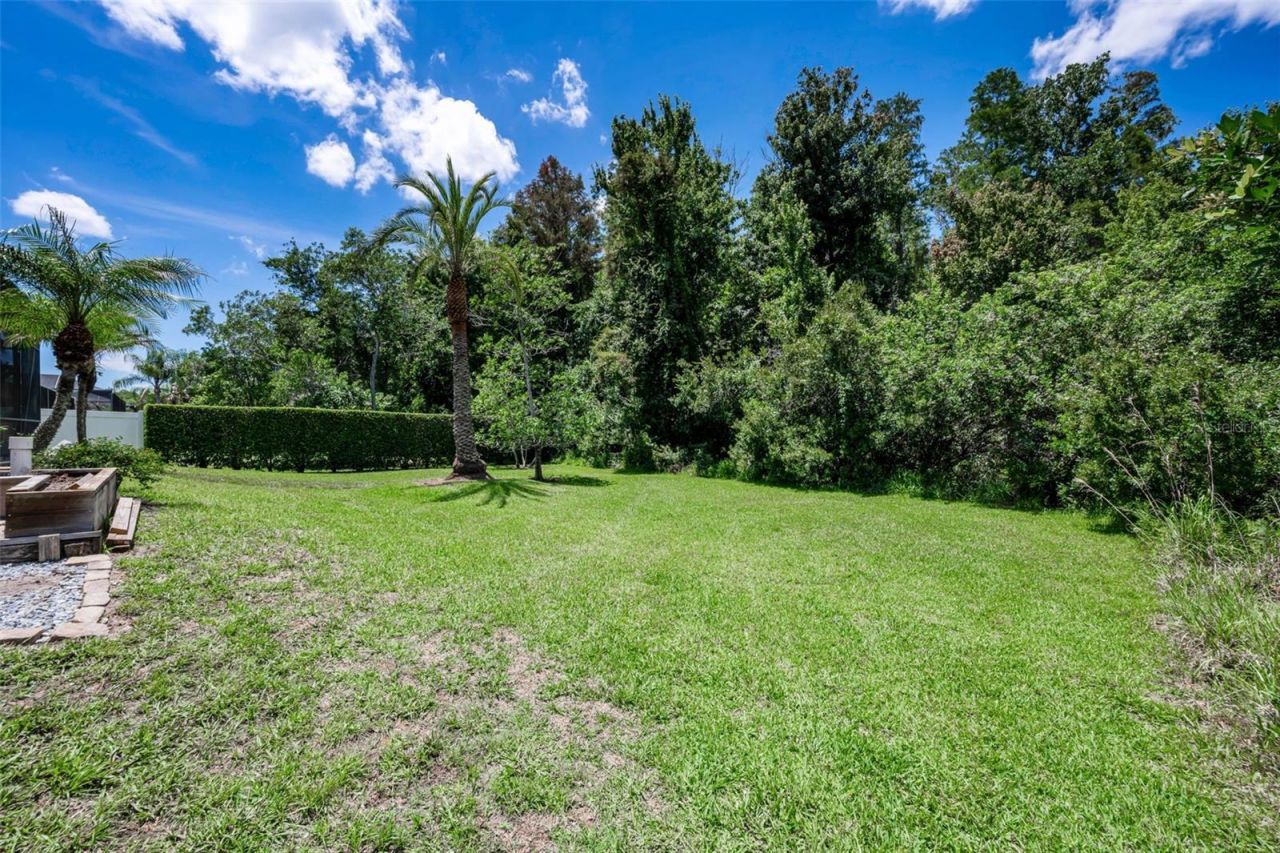 16207 Rambling Road, Odessa, FL 33556 Photo