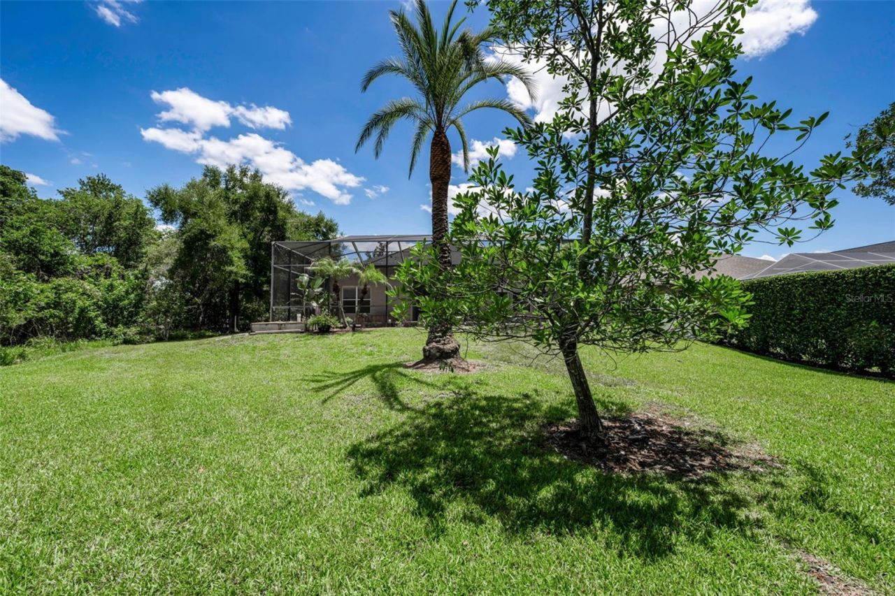 16207 Rambling Road, Odessa, FL 33556 Photo