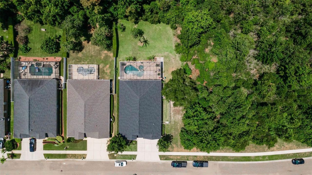 16207 Rambling Road, Odessa, FL 33556 Photo