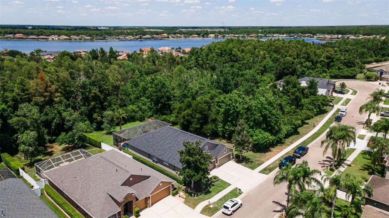 16207 Rambling Road, Odessa, FL 33556 Photo