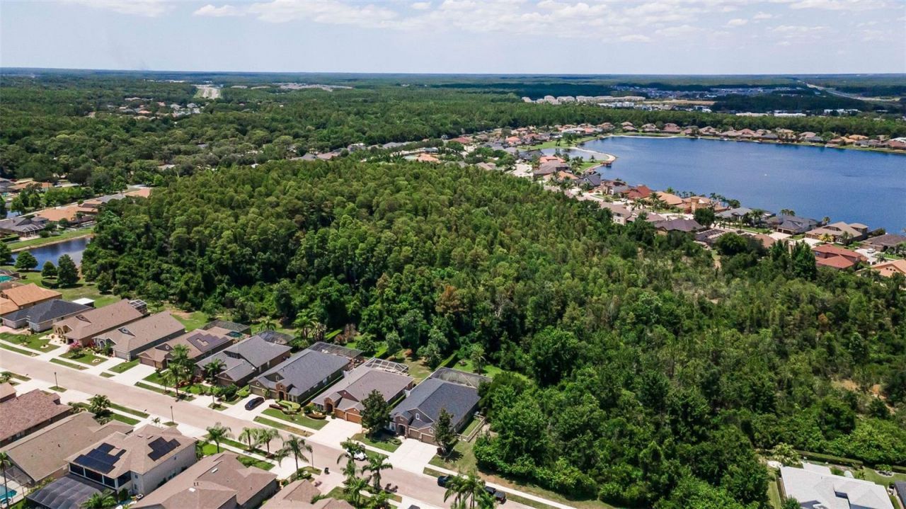 16207 Rambling Road, Odessa, FL 33556 Photo