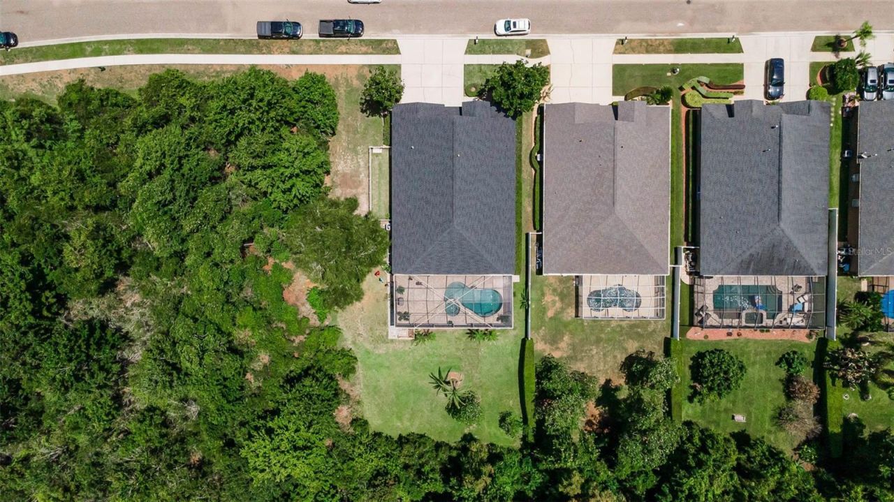 16207 Rambling Road, Odessa, FL 33556 Photo