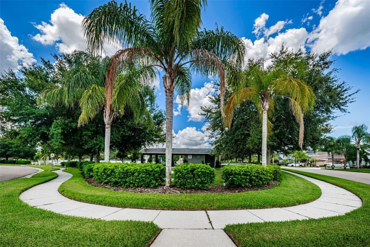 16207 Rambling Road, Odessa, FL 33556 Photo