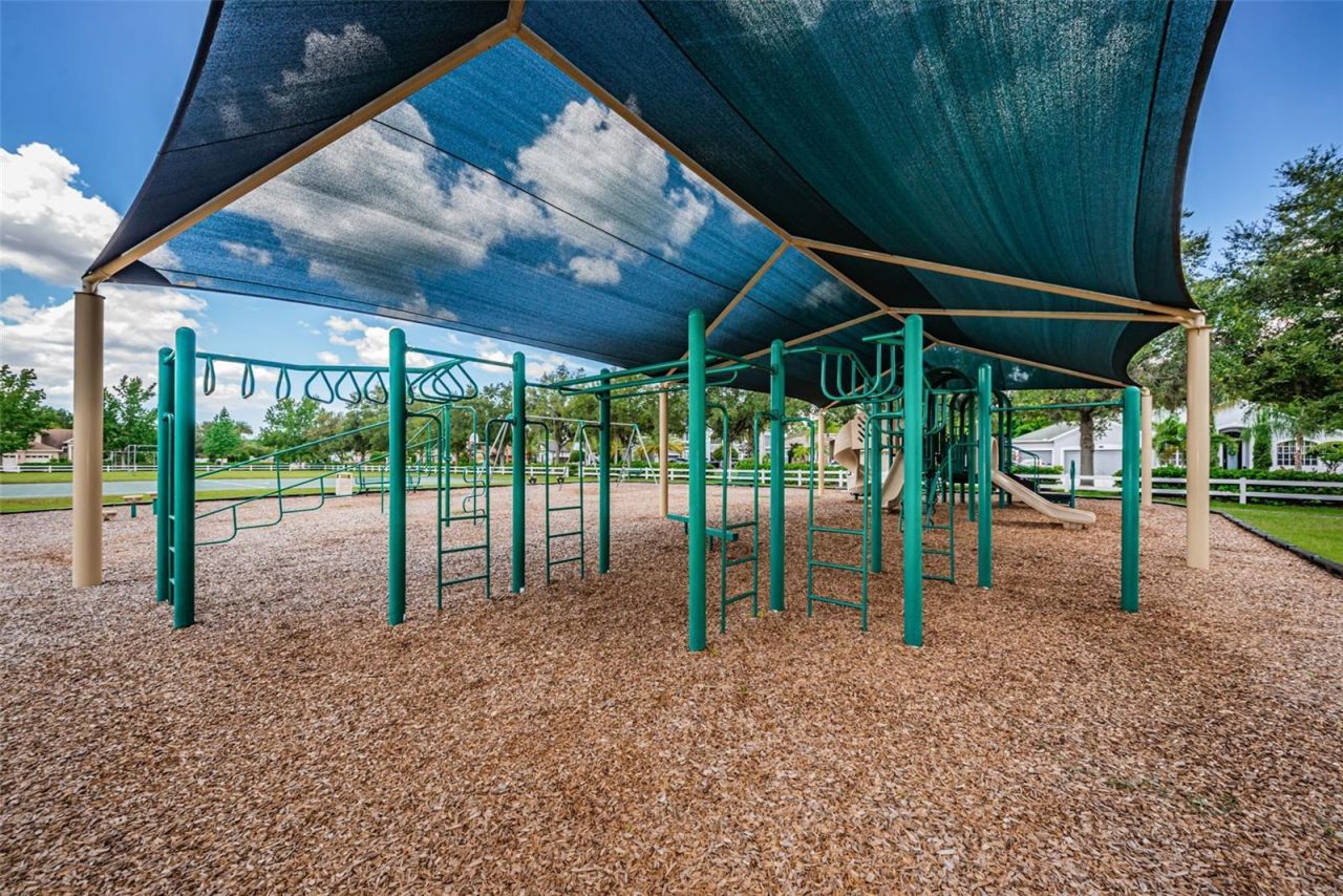 16207 Rambling Road, Odessa, FL 33556 Photo