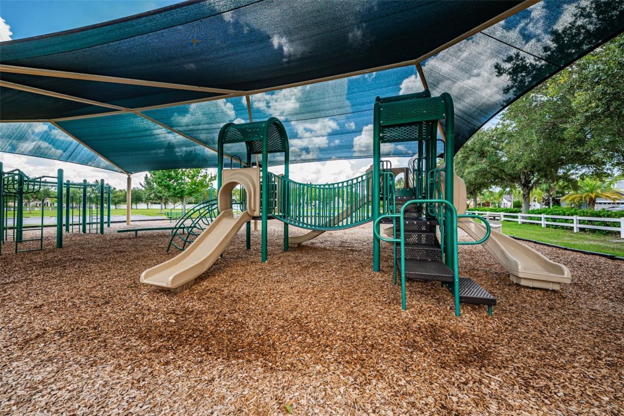 16207 Rambling Road, Odessa, FL 33556 Photo