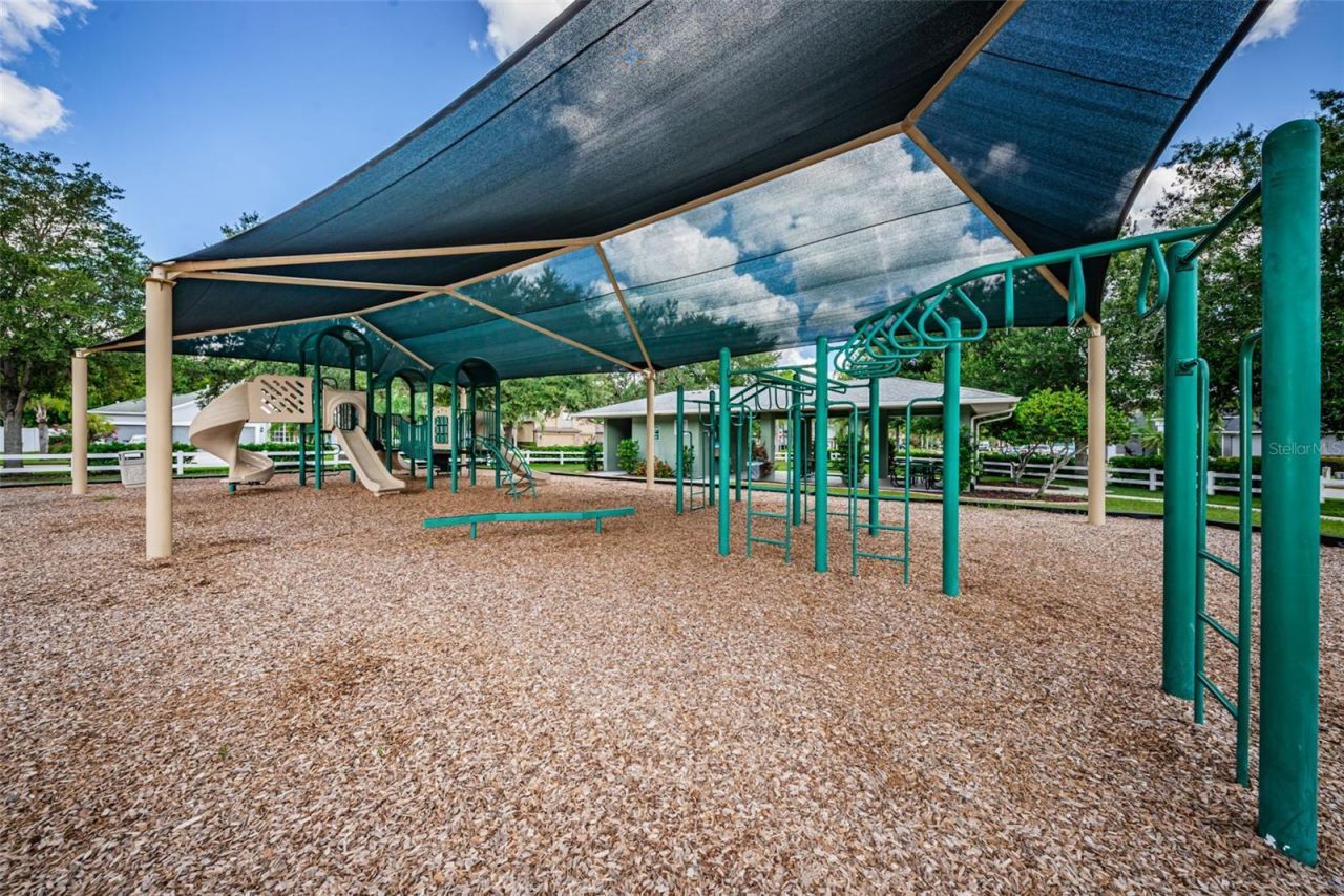 16207 Rambling Road, Odessa, FL 33556 Photo