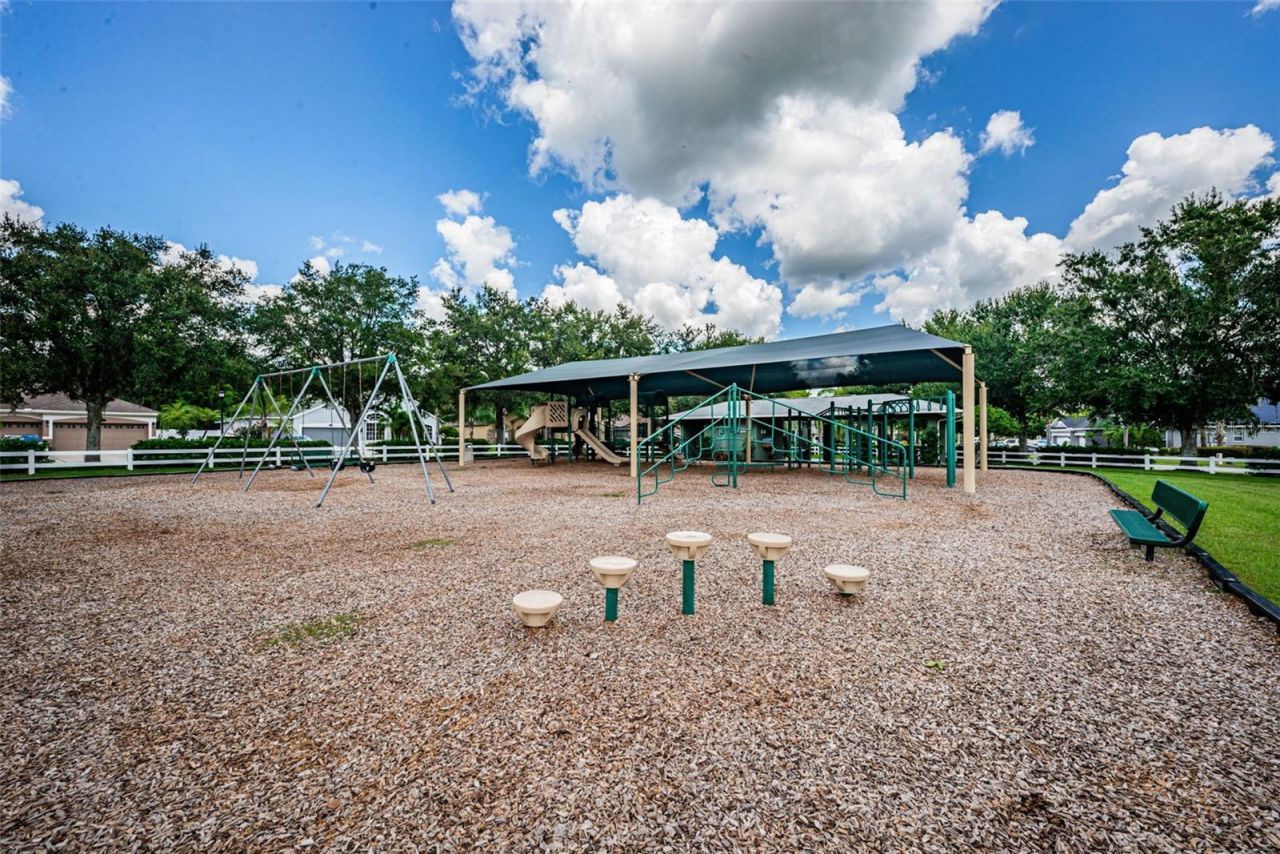 16207 Rambling Road, Odessa, FL 33556 Photo
