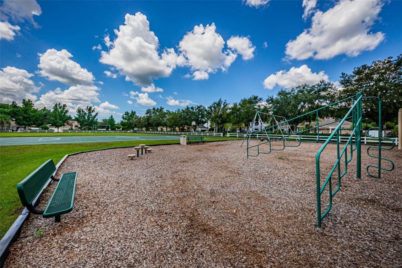 16207 Rambling Road, Odessa, FL 33556 Photo