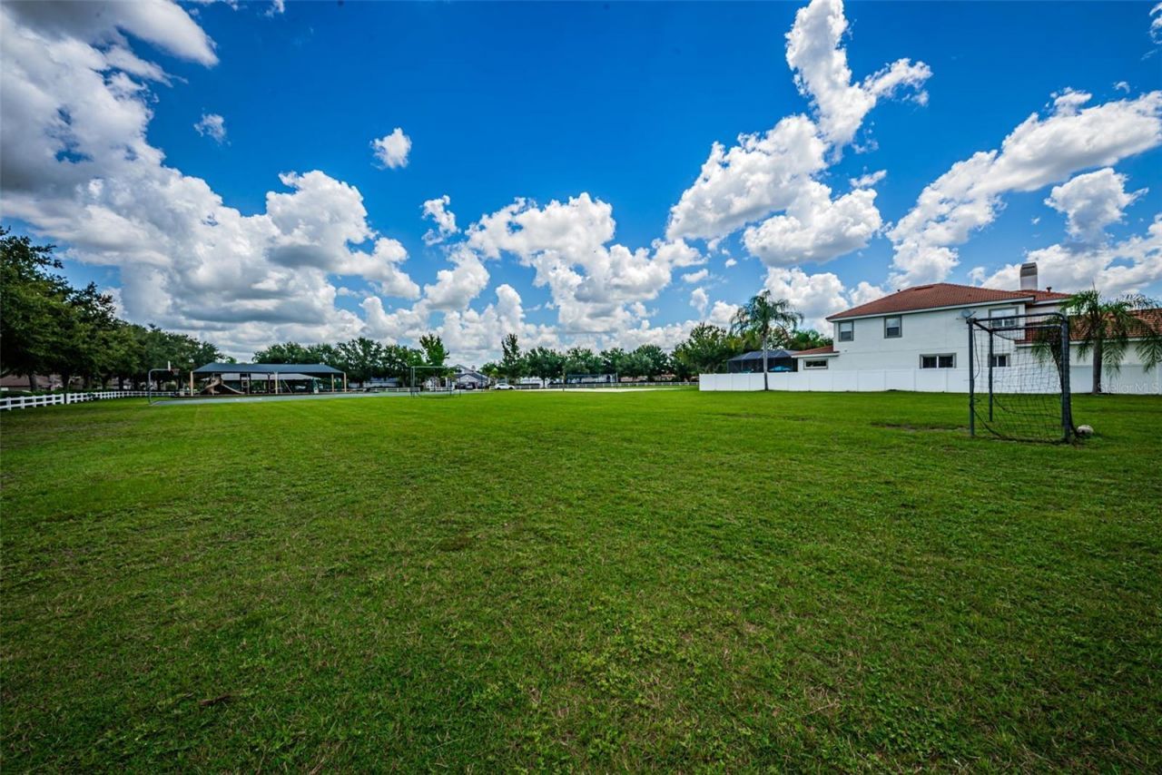 16207 Rambling Road, Odessa, FL 33556 Photo