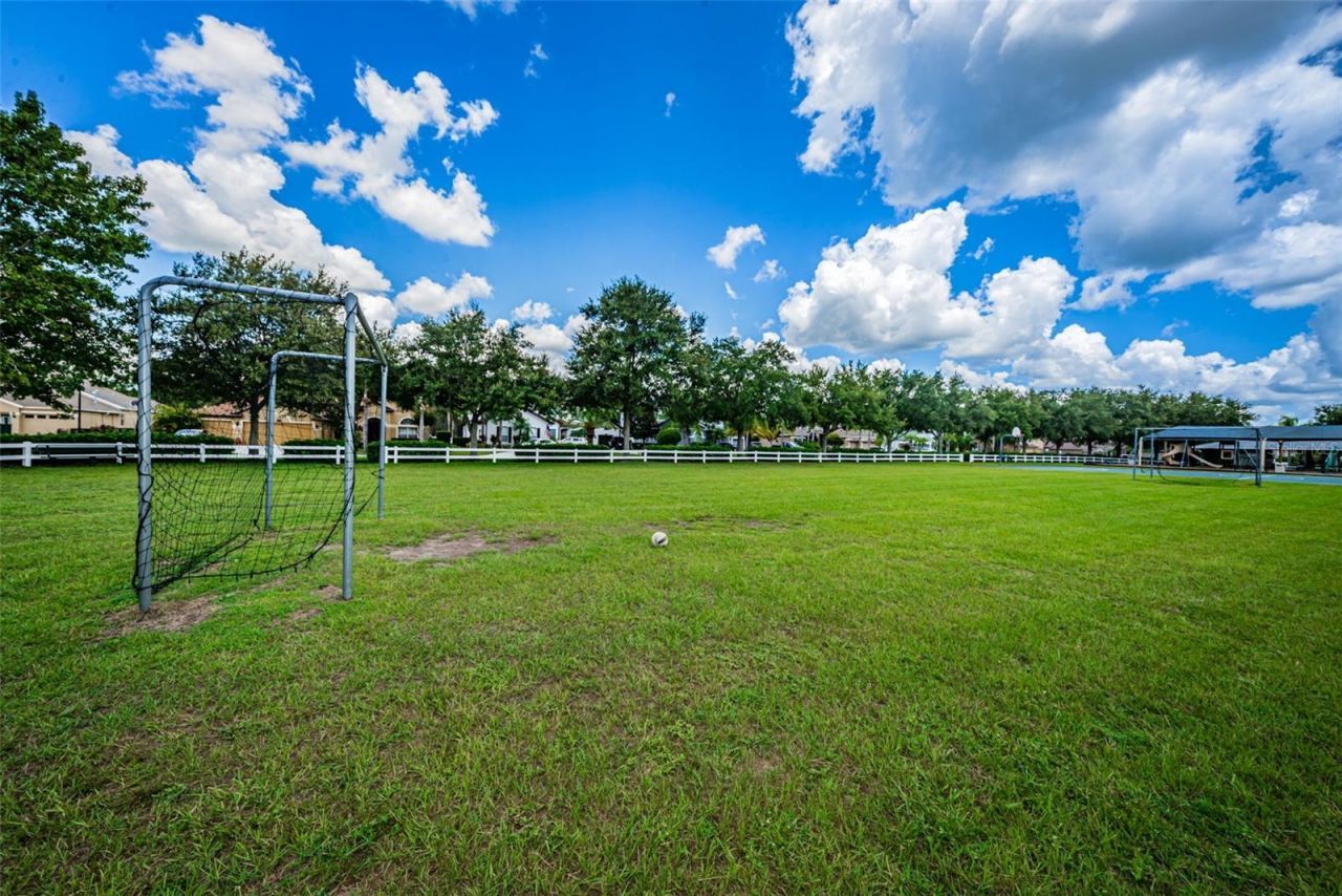 16207 Rambling Road, Odessa, FL 33556 Photo