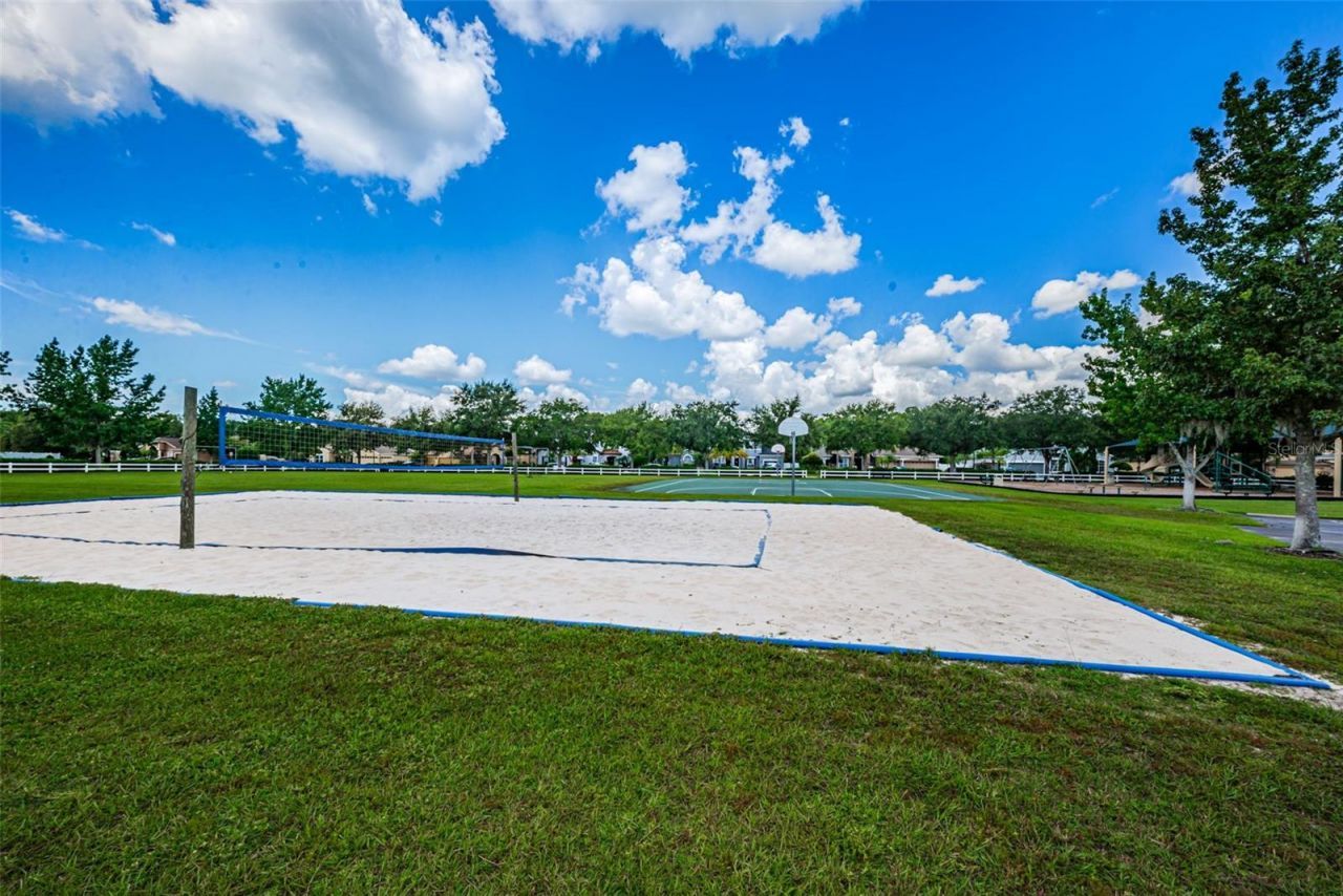16207 Rambling Road, Odessa, FL 33556 Photo