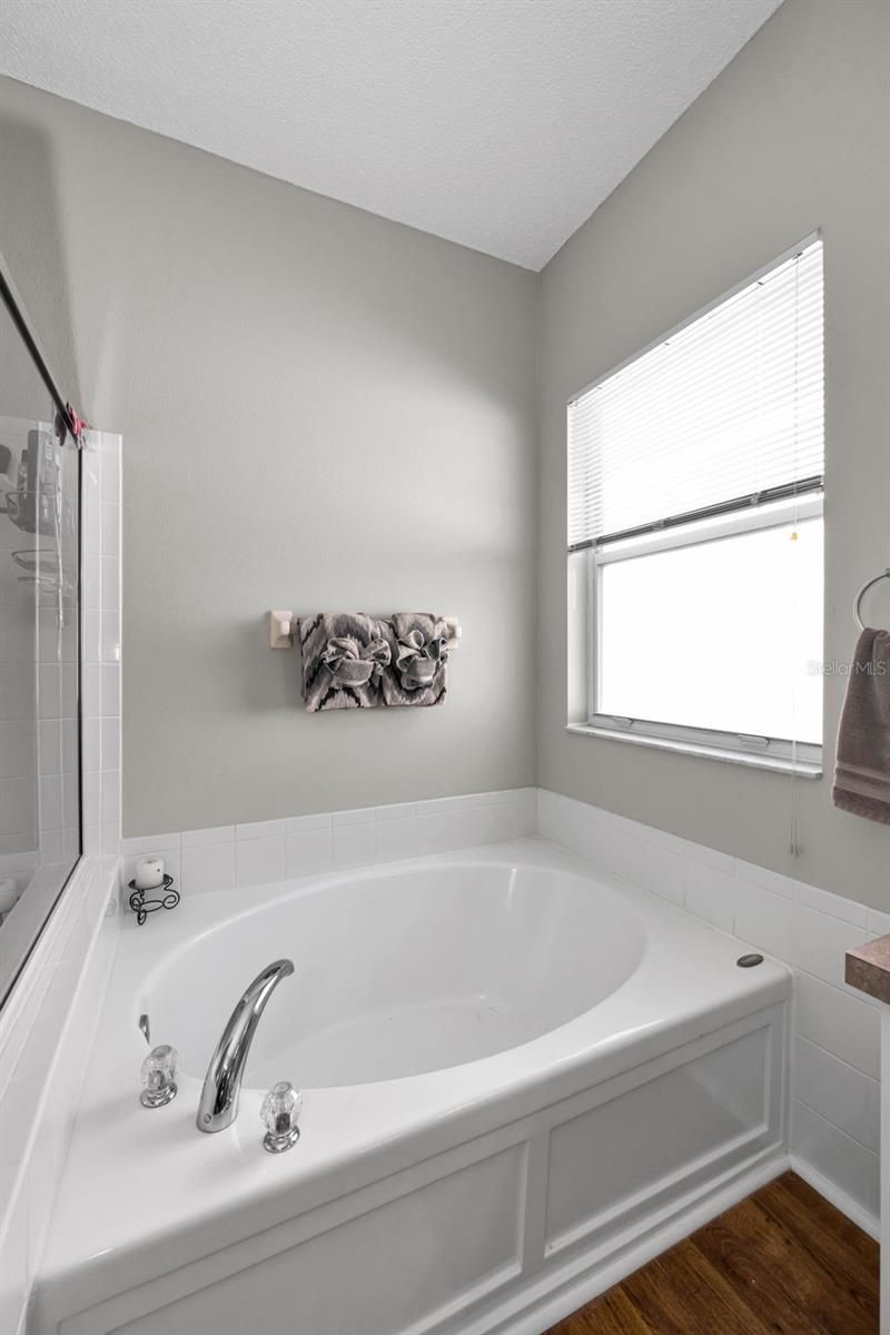 1821 Alvara Place , Trinity, FL 34655 Photo