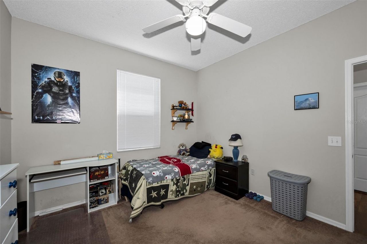 1821 Alvara Place , Trinity, FL 34655 Photo