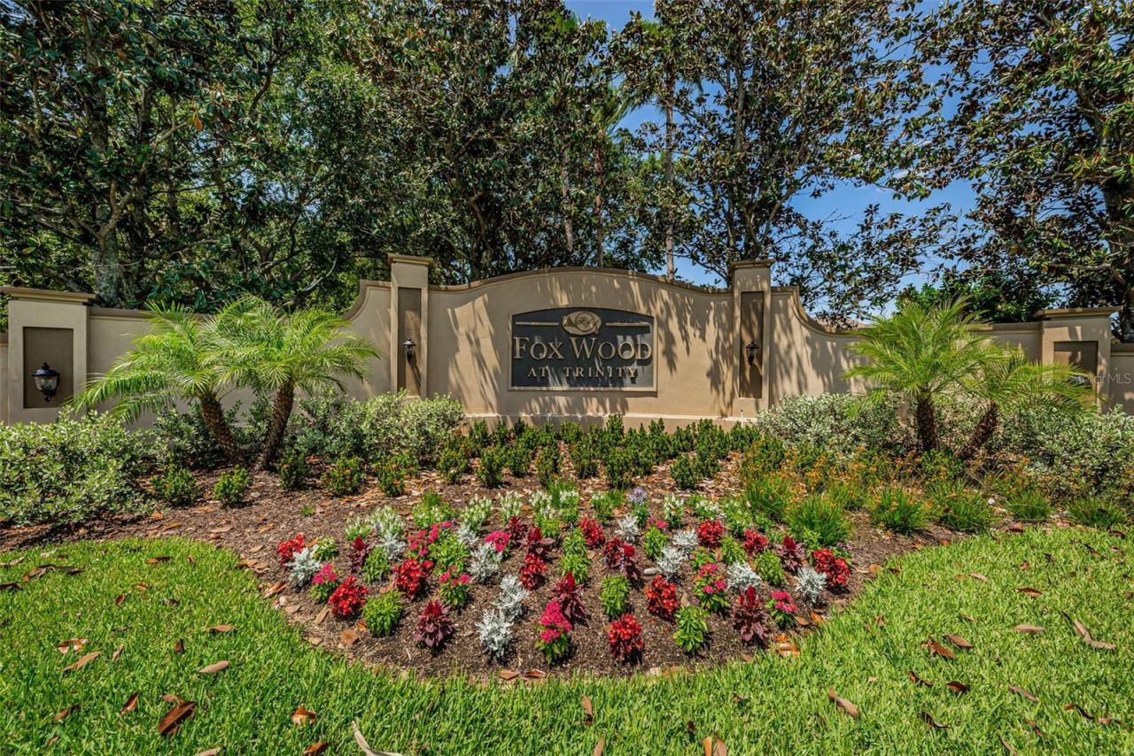 1821 Alvara Place , Trinity, FL 34655 Photo
