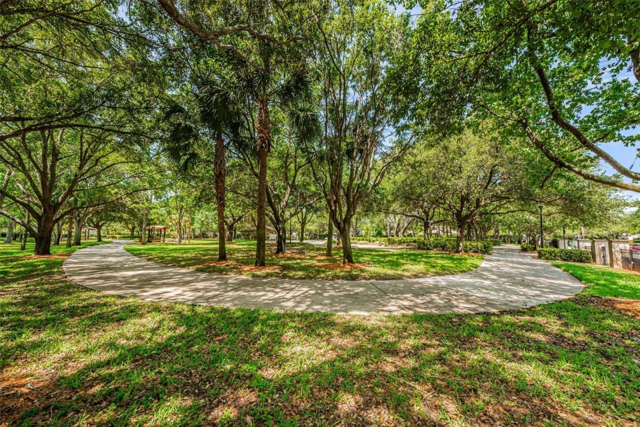 1821 Alvara Place , Trinity, FL 34655 Photo