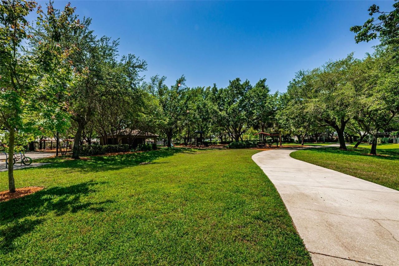 1821 Alvara Place , Trinity, FL 34655 Photo
