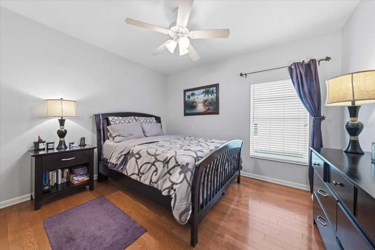 4941 Felecity Way, Palm Harbor, FL 34685 Photo