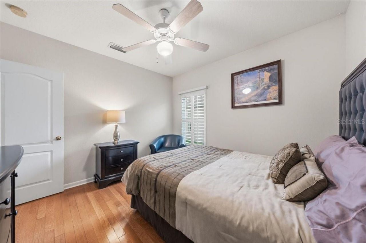 4941 Felecity Way, Palm Harbor, FL 34685 Photo