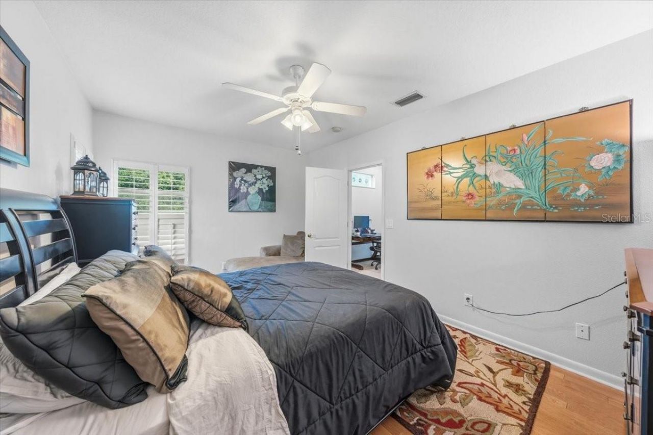 4941 Felecity Way, Palm Harbor, FL 34685 Photo