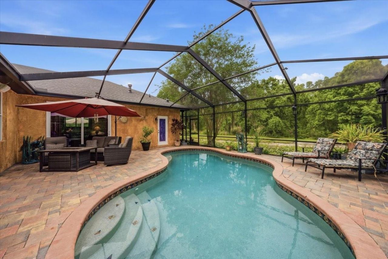 4941 Felecity Way, Palm Harbor, FL 34685 Photo