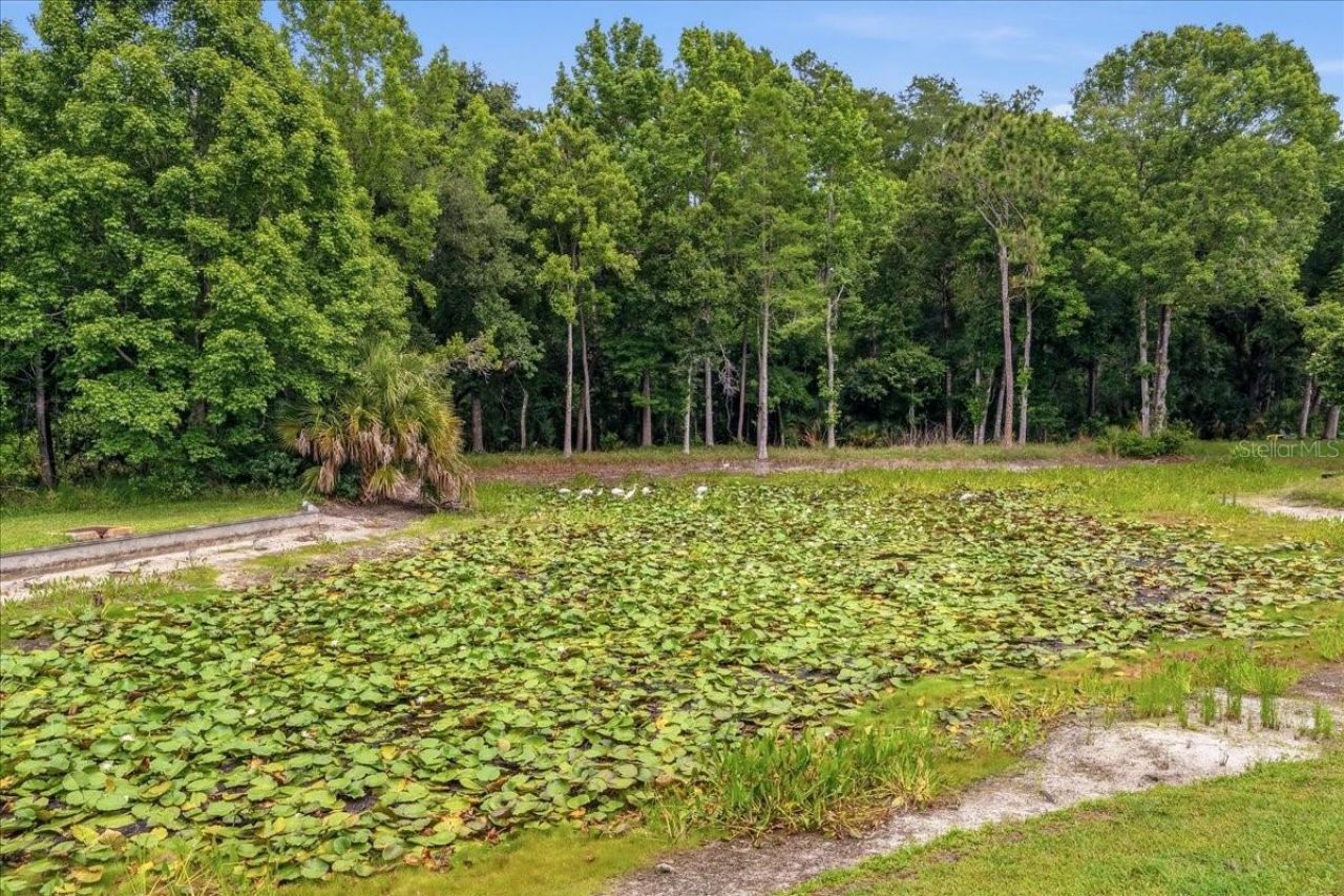 4941 Felecity Way, Palm Harbor, FL 34685 Photo