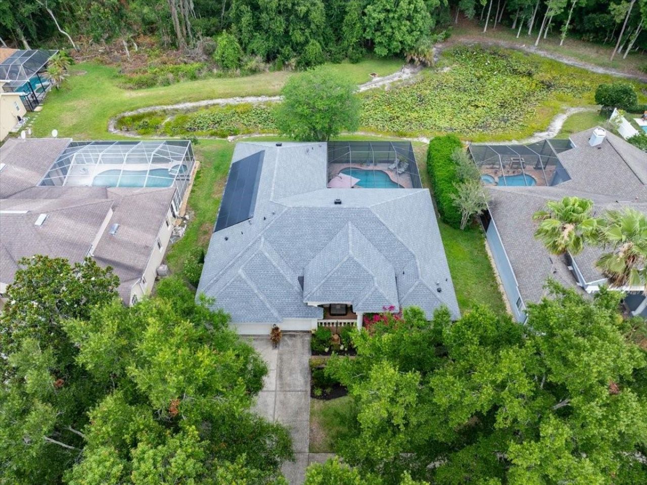 4941 Felecity Way, Palm Harbor, FL 34685 Photo
