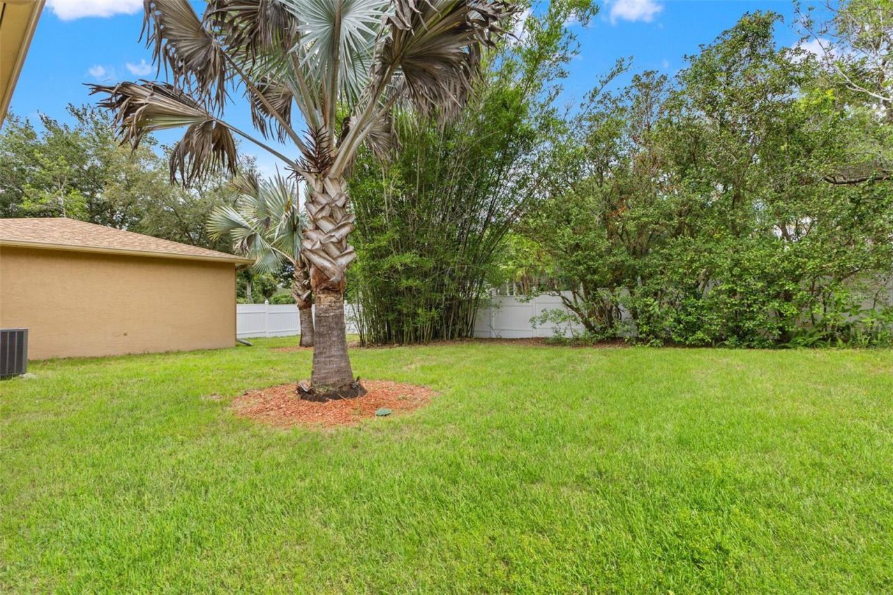 13108 Alishia Court, Spring Hill, FL 34609 Photo