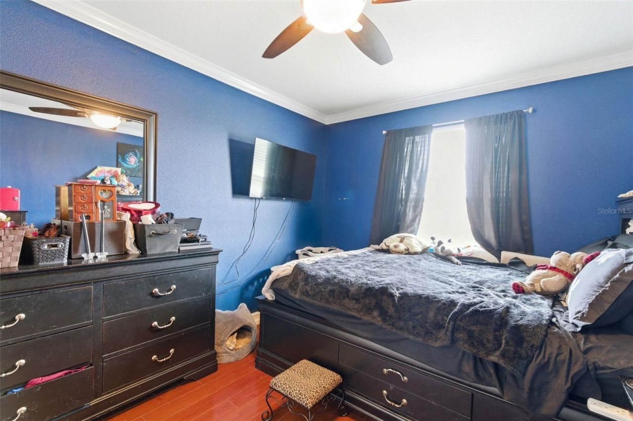 1718 Roseroot Court , Trinity, FL 34655 Photo