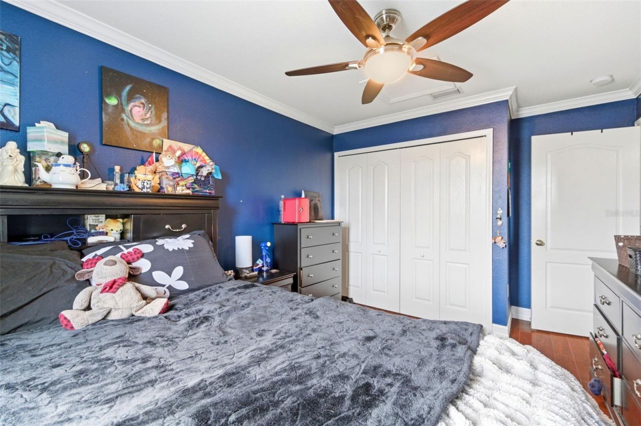 1718 Roseroot Court , Trinity, FL 34655 Photo