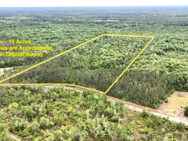 SWEET GUM ROAD , GLEN ST MARY, FL 32040